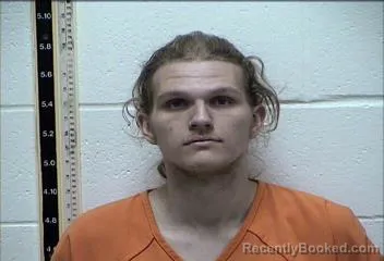 Mugshot of DAVID LAVON ADAMS booked in Pearl River County, Mississippi on April 22, 2026