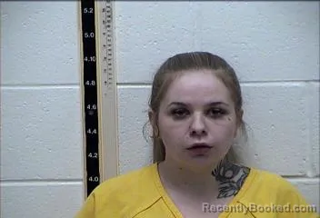 Mugshot of ALEXIS LYNN WISE booked in Pearl River County, Mississippi on April 24, 2026