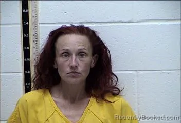 Mugshot of CRISTINA R LUMPKIN booked in Pearl River County, Mississippi on April 25, 2026