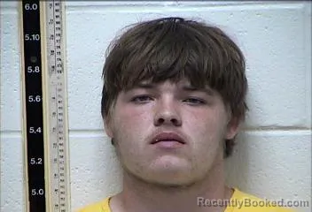Mugshot of TRENTON DAKOTA VICE booked in Pearl River County, Mississippi on May 15, 2026