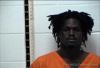 Mugshot of TROY STEPHON JOHNSON booked in Pearl River County, Mississippi on June 4, 2026