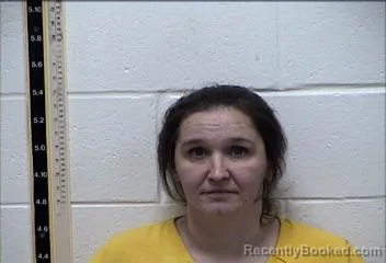 Mugshot of ERIN REBECCA DOYLE booked in Pearl River County, Mississippi on June 26, 2026