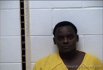 Mugshot of TWENDOLYN KACHELLE HARRIS booked in Pearl River County, Mississippi on July 14, 2026