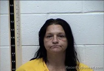 Mugshot of CAMMIE WALLACE booked in Pearl River County, Mississippi on July 14, 2026