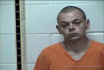 Mugshot of LEE SHANE ALEXANDER HILBURN booked in Pearl River County, Mississippi on July 14, 2026