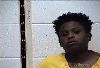 Mugshot of Va Nyra Keshay Jenkins booked in Pearl River County, Mississippi on August 4, 2026