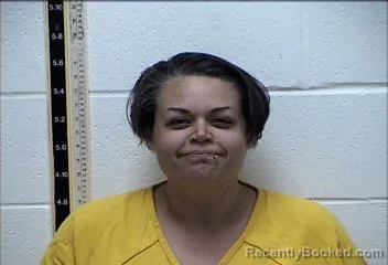 Mugshot of Lindsey Sue Paulsen booked in Pearl River County, Mississippi on August 6, 2026