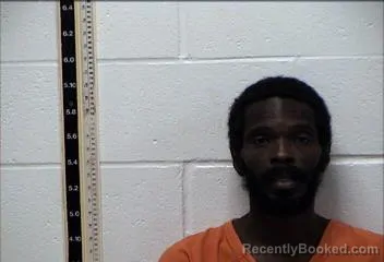 Mugshot of Renay D Charles booked in Pearl River County, Mississippi on August 8, 2026