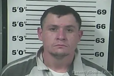 Mugshot of AUSTIN BRETT MCGILL