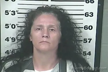 Mugshot of AMANDA CHERI OWEN