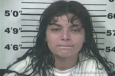 Mugshot of DANIELLE NICOLE WILEY booked in Perry County, Mississippi on June 9, 2026