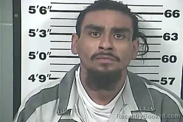 Mugshot of LUIS FABIAN RAMIREZ