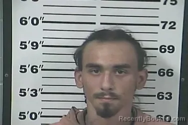 Mugshot of NATHAN RICHARDSON