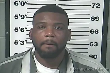 Mugshot of RECO DEVONTIA WINDHAM
