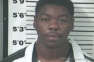 Mugshot of TYREESE KEJUAN SMITH booked in Perry County, Mississippi on June 11, 2026