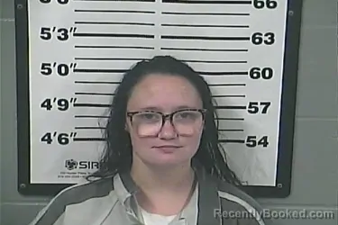 Mugshot of WHITNEY DARRYL HUDSON
