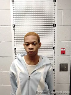 Mugshot of JA'KORIAN ZYTAEVIOUS AUSTIN