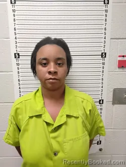 Mugshot of ASHLEY NICOLE BOBO booked in Tate County, Mississippi on April 25, 2026