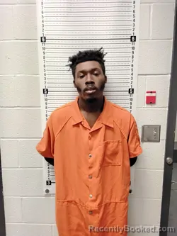 Mugshot of LOZIE D BODDIE