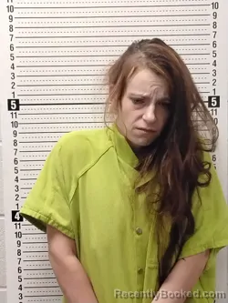 Mugshot of STEPHANIE R BROOKS