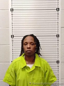 Mugshot of CHANICE CHARNELL HORTON