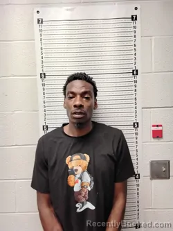 Mugshot of MATHEW OBRAIN-TIMOTHY NEWSON