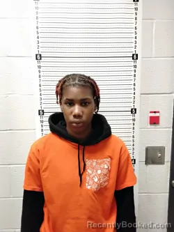 Mugshot of KARLESIA KATRICE SHORTY