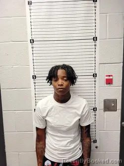 Mugshot of LENESHA SHANTE SMITH