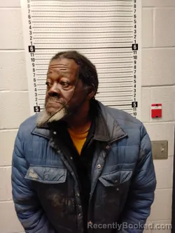 Mugshot of DELANEY WORTHAM