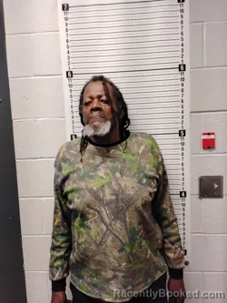 Mugshot of DELANEY WORTHAM