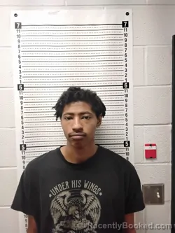 Mugshot of TRACY OMARIE WILLIAMS