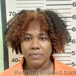 Mugshot of SABRINA SHANTEA MCNUTT booked in Tunica County, Mississippi on March 22, 2026