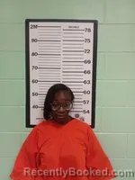 Mugshot of Raven Ringo booked in Tunica County, Mississippi on September 30, 2026