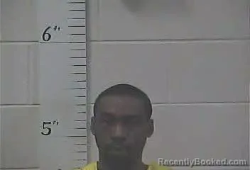Mugshot of LAMICHAEL 260873 JOHNSON