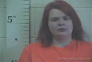 Mugshot of LEXUS WILLIAMS