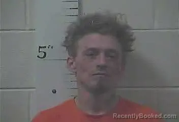 Mugshot of PATRICK NELSON