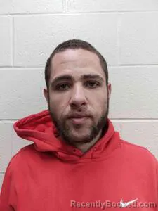 Mugshot of Dyllon J Allen