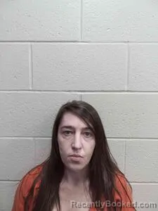 Mugshot of Chelsea F Silverstein booked in Andrew County, Missouri on June 1, 2026