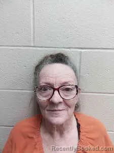 Mugshot of Beth A Himmelberg booked in Andrew County, Missouri on June 1, 2026