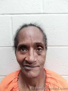Mugshot of Gaylene James booked in Andrew County, Missouri on June 9, 2026