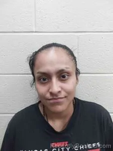 Mugshot of Marlen Gallardo-Fiscal booked in Andrew County, Missouri on June 12, 2026