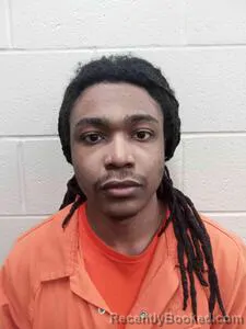 Mugshot of Dimitri McGill