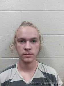 Mugshot of Devlyn Hunter Weir