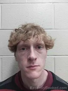 Mugshot of Adam David Brown