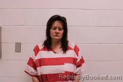 Mugshot of Amanda M Anderson