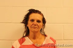 Mugshot of Nancy E Jackson booked in Barry County, Missouri on August 14, 2026