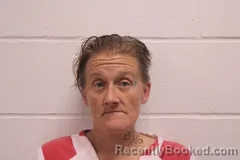 Mugshot of Dyan N Miller booked in Barry County, Missouri on May 11, 2026