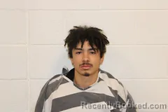 Mugshot of Danon L Mcintire booked in Barry County, Missouri on March 17, 2026