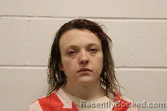 Mugshot of Bobbie R Story