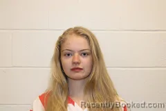 Mugshot of Haley A Nivens